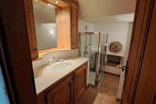 a bathroom with a sink and a shower at L'elegante appartamento di Mimmi in Venas