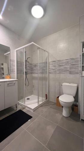 une salle de bain avec douche et toilettes dans l'établissement Appartement de la plage, à Solaro
