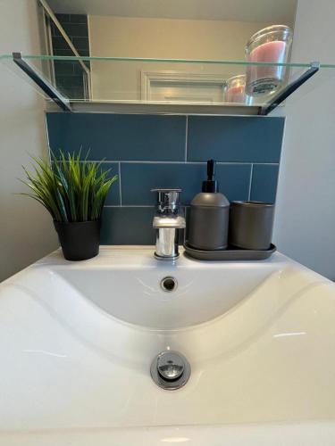 a bathroom sink with two pots on top of it at The Matrix in Dublin