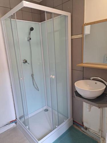une douche avec une porte vitrée à côté d'un lavabo dans l'établissement Maisonnette centre sainte Savine, à Sainte-Savine