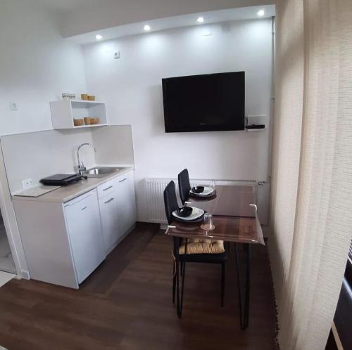 Et tv og/eller underholdning på Vila Jevtić studio 3