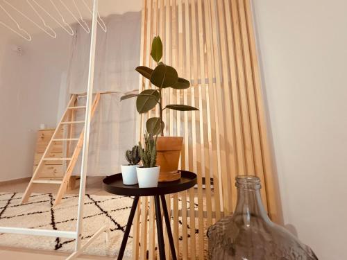 Afbeelding uit fotogalerij van Sãone Guesthouse - Coworking & Retreat Location in Ericeira