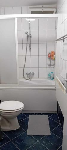 a white bathroom with a toilet and a shower at Apartman TIN in Varaždin