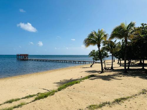 a beach with palm trees and a pier in the water at Blue Paradise House Roatan in Roatan