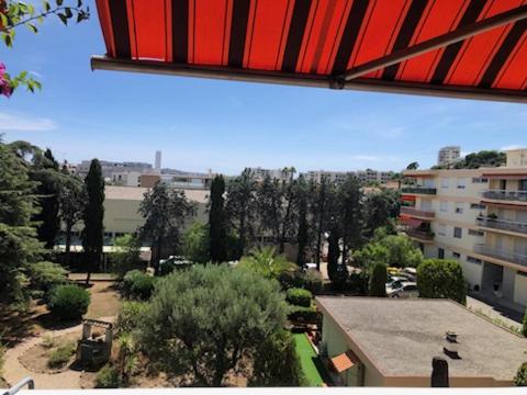 Coquet studio avec grande terrasse