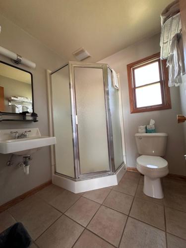 a bathroom with a shower and a toilet and a sink at Grant Hills Motel in Galena