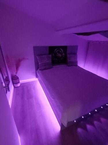 - une chambre dotée d'un lit avec des lumières violettes dans l'établissement Le SPArt un jacuzzi une salle de sport un appartement entièrement équipée pour votre bien être, à Paulhac