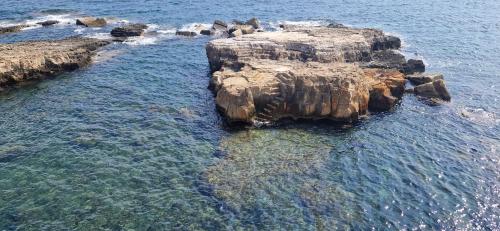 ortigia 116 photo 2