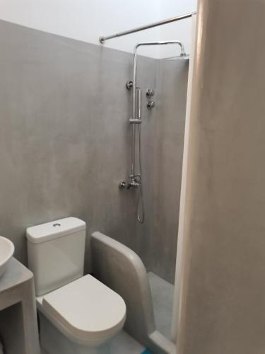 a bathroom with a toilet and a shower at Thalassa1 in Andros