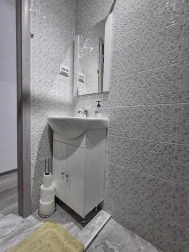 a bathroom with a white sink and a shower at Anna Home in Râmnicu Vâlcea