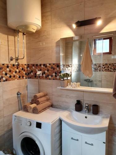a bathroom with a washing machine and a sink at Zen Olive Retreat in Petrovac na Moru