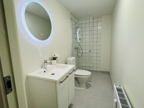 Un baño con inodoro, lavabo y espejo. en aday - Holiday charming Studio, en Aalborg
