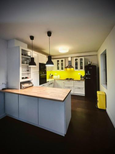 Η κουζίνα ή μικρή κουζίνα στο Zagreb home