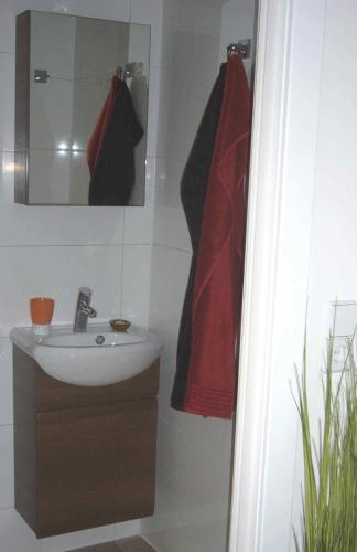 ein Bad mit einem Waschbecken und einem Spiegel in der Unterkunft Apartment Hochbründl in Mödling