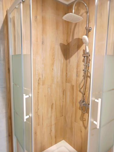 a shower with a glass door in a bathroom at Family Apartments Tauchen in Mönichkirchen