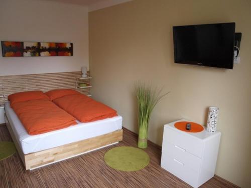 Schlafzimmer mit einem Bett und einem Flachbild-TV in der Unterkunft Apartment Hochbründl in Mödling