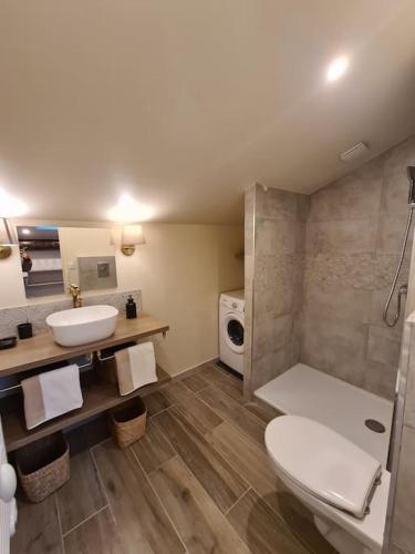 une salle de bain avec des toilettes blanches et un lavabo dans l'établissement Magnifique cosy loft au cœur du centre ville, à Saint-Étienne