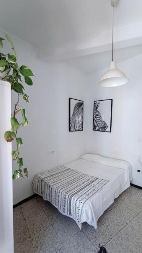 Preciosa habitación en pleno centro de Sevilla Ideal para hacer turismo y vivir la ciudad