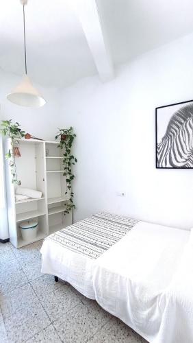 Preciosa habitación en pleno centro de Sevilla Ideal para hacer turismo y vivir la ciudad