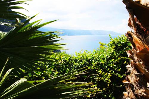 a view of a body of water with plants at La Marinella in Palmi