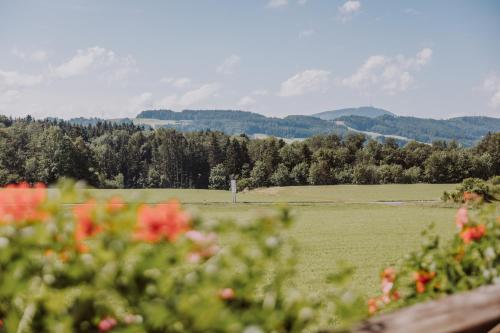a field with flowers in the foreground and mountains in the background at Landhotel Gschirnwirt in Eugendorf