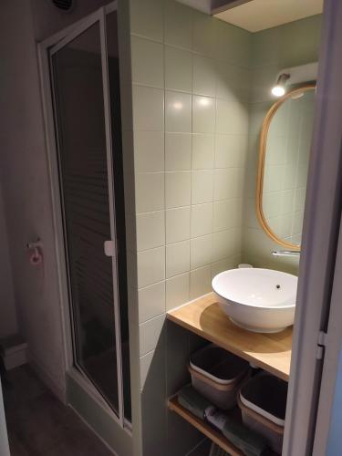 une salle de bain avec un lavabo et une douche dans l'établissement Agréable appartement avec vue mer, à Carqueiranne