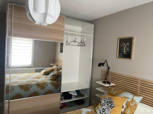 une chambre avec un lit et un grand miroir dans l'établissement Superbe chambre confortable proche de Vichy et du PAL, à Saint-Rémy-en-Rollat