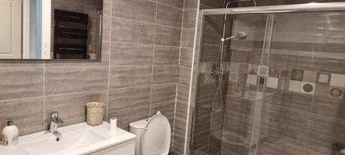une salle de bain avec une douche, des toilettes et un lavabo dans l'établissement Dépendance 90m2 dans villa avec piscine, à Carcassonne