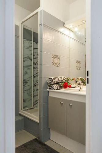 une salle de bain avec une douche, un lavabo et un miroir dans l'établissement T2 Plage Prado-David, Parc Borély, Parking Privée, à Marseille