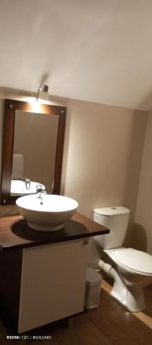 une salle de bain avec un lavabo et des toilettes dans l'établissement T4 DUPLEX SPACIEUX -7 PERSONNES- PISCINE à ARREAU, à Arreau