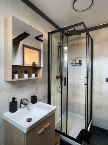 La salle de bains est pourvue d'une douche et d'un lavabo blanc. dans l'établissement Duplex bord de l'Eure - Parking inclus - Jolie vue sur la cathédrale, à Chartres