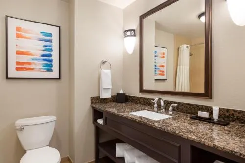 Embassy Suites by Hilton Orlando Lake Buena Vista South photo 22