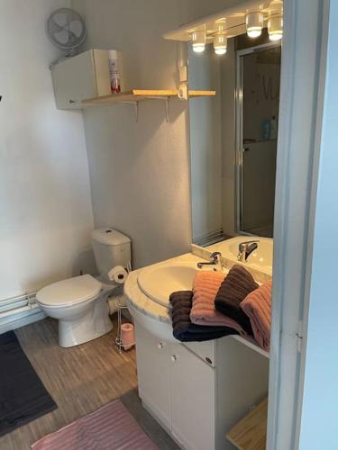une salle de bain avec un lavabo et des toilettes dans l'établissement Maisonnette safari planète sauvage et océan, à Sainte-Pazanne
