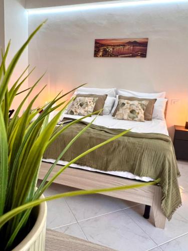 Lady Isa Casa Vacanza في كاستيلاماري دي ستابيا: غرفة نوم مع سرير وزرع الفخار