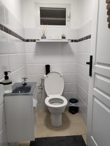 ein weißes Badezimmer mit Toilette und Waschbecken in der Unterkunft Villa Belsoley in Les Abymes
