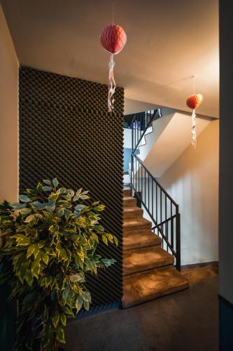 a staircase in a house with a plant at AMADA CITY CENTER in Iaşi