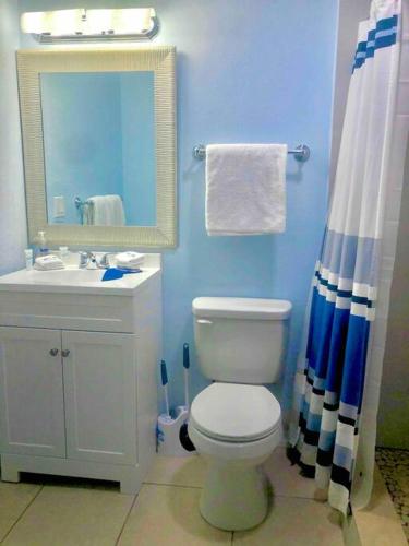a bathroom with a toilet and a sink and a mirror at Sand Dollar Studio Pool Daily Rentals in Sarasota
