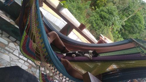 a black and white cat laying in a hammock at Hostal Portobelo in Portobelo