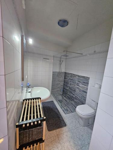 a bathroom with a shower and a toilet and a sink at Ca' del Sole in Calliano