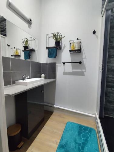 une salle de bain avec un lavabo et une baignoire dans l'établissement Appartement La Pause Bleue, à Lourdes