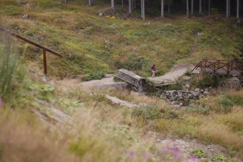 a person is walking down a hill with a bridge at Chalupa Bílá Desná in Jablonec nad Nisou