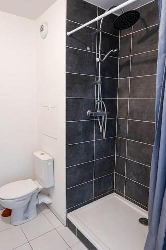 une salle de bain avec toilettes et douche dans l'établissement L'escapade confortable, au Blanc-Mesnil