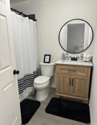 a bathroom with a toilet and a sink and a mirror at The Sanford Foodie Guest House in Sanford