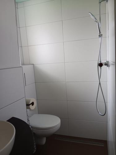 a white bathroom with a shower and a toilet at Ninas & Andrejs Gästezimmer in Hinterweiler