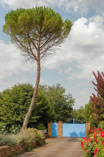 a tree standing in the middle of a driveway at La Villa Bleue, Luxe, Piscine et Spa in Capdenac