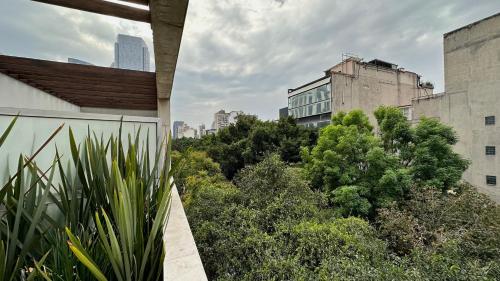 a view of a city with buildings and trees at Suites Giorgio in Mexico City