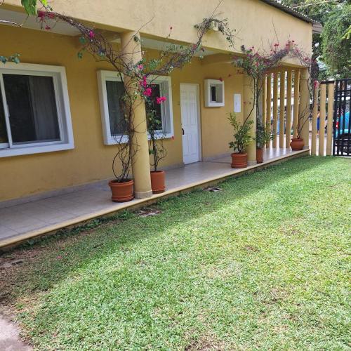a house with potted plants on a porch at Hotel Anturios in Zihuatanejo
