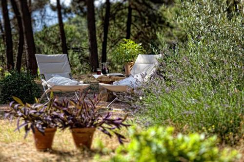 two chairs and a table in a garden with plants at Cortijo De Ramón in Cortijos Nuevos