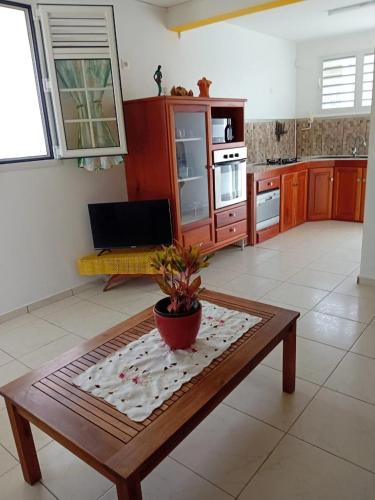 a kitchen with a table with a potted plant on it at Le Latanier bleuté in Beauregard