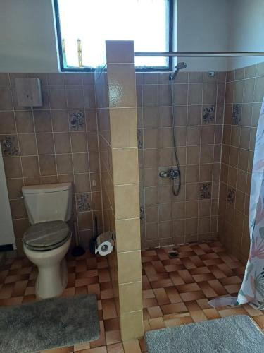 a bathroom with a toilet and a shower at Villa VAIROARII Moorea in Afareaitu